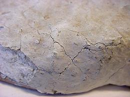 Plaster Base Cracks