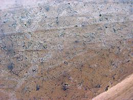 Image 2: Dark specks at small holes.  Fine, stained surface cracks.