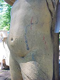 Image 3:  Colored lines on the belly.