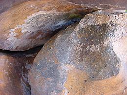 Image 5:  gray accretion on surface and arm break.