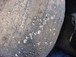 Image 9:  Surface spalling & manufacturing ridges visible.