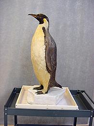 Left side after treatment