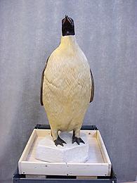 Front view after treatment