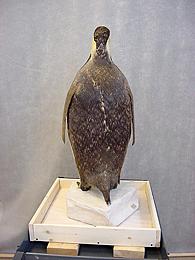 Back side after treatment