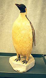 Front view before treatment