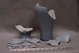 Weisser Vase Before Treatment