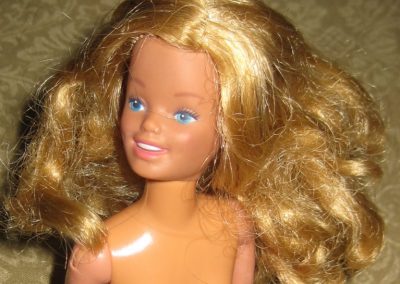 The Problem with Plastics (Short Course)