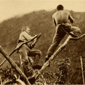 17533138584_68e5f74158_b